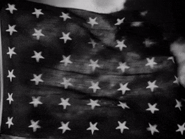 stars and stripes GIF by Warner Archive