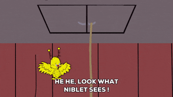 excited bird GIF by South Park 