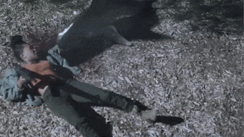 sharknado GIF by Space