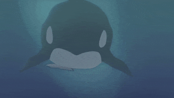 whale swimming GIF by South Park 