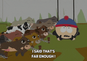 flying stan marsh GIF by South Park 