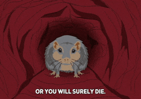 scared mouse GIF by South Park 