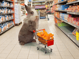 https://media0.giphy.com/media/l2Sq2YYdLXLZnEtQA/200.gif