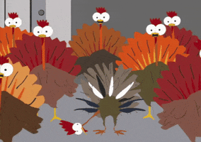 Turkey Shooting GIF by South Park