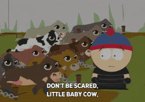 freeing stan marsh GIF by South Park 