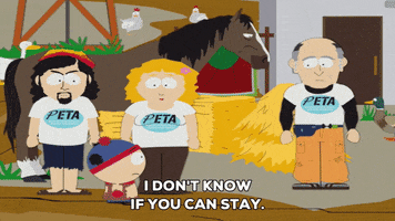 horse farm GIF by South Park 