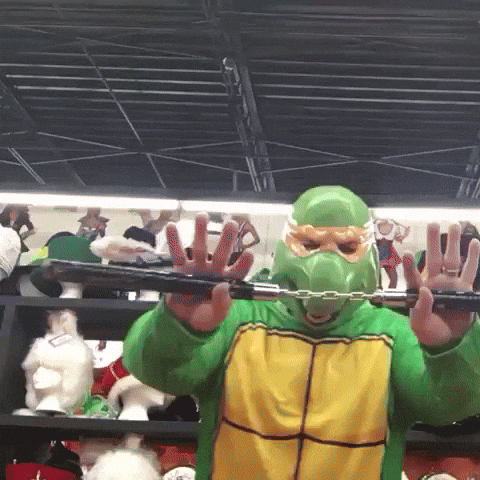 banjo757 ninja turtle GIF