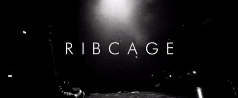 music video ribcage GIF by Andy Black
