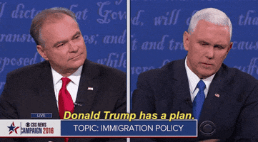 Debate Donald Trump Has A Plan GIF by Election 2016