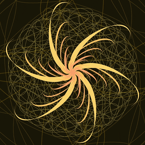 samnum animation loop motion graphics after effects GIF