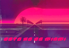 fiebreartediseno sol miami GIF