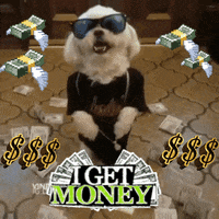 I Get Money GIFs - Get the best GIF on GIPHY