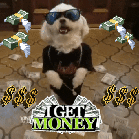 Pay Day Dog GIF by Justin - Find & Share on GIPHY