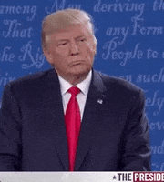 Donald Trump GIF by Election 2016