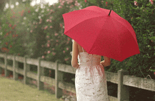 georgia umbrella GIF by The Bachelorette Australia