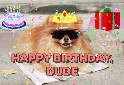 birthday dog animated gif