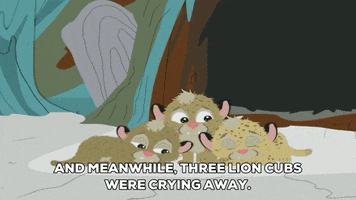 lion cubs GIF by South Park 
