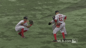 Red Sox Baseball GIF by MLB