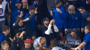 Celebrating Chicago Cubs GIF by MLB