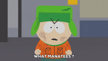 eric cartman manatees GIF by South Park 