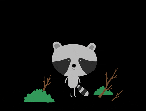 Illustration Raccoon GIF by Julien Piau - Find & Share on GIPHY