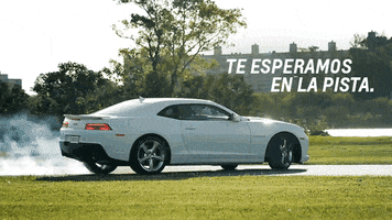 balzasj  GIF