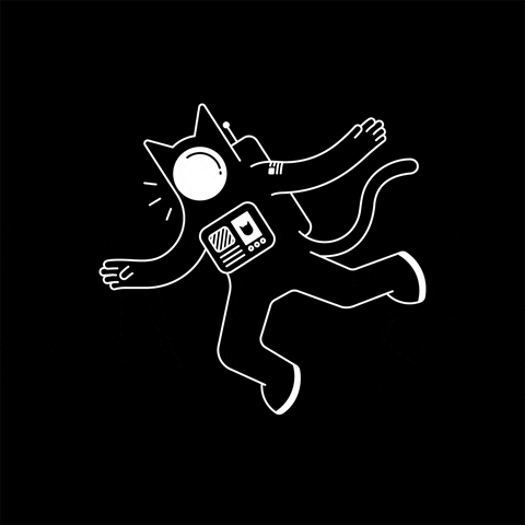 Cat Space GIF by Lost Cat™
