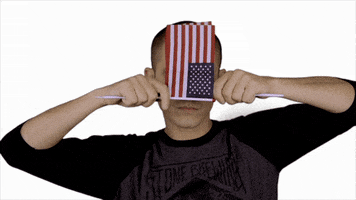 American Flag Vote GIF by WAX