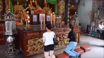 china video GIF
