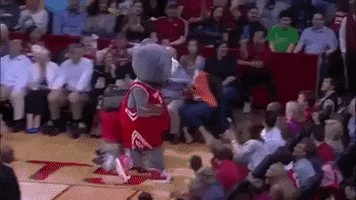 houston rockets mascot GIF by NBA