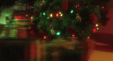 Stealing Christmas Tree GIF by filmeditor