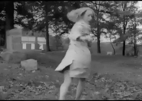 running away night of the living dead GIF