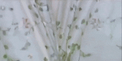 Hrithik Roshan Bollywood GIF by bypriyashah