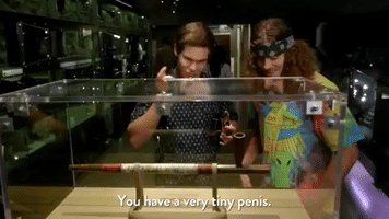 200.gif?cid=fc005b08ba745cc3b30f16e499f12d3630c4c5a277fa551d&rid=200.gif&ct=g