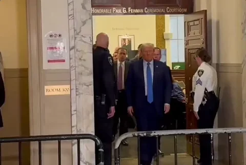 Donald Trump GIF
