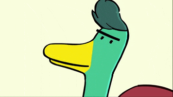 200.gif?cid=fc005b0874182a8e73a0dbb4916196eb94161f90acb45816&rid=200.gif&ct=g