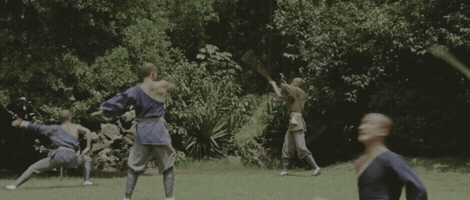 The Shaolin Temple GIF