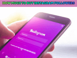 How Much To Buy Instagram Followers GIF