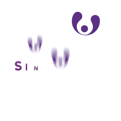 Xarxa Agency Sticker by Xarxa Digital Agency_RD