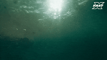 Fast And Furious Swimming GIF by The Fast Saga