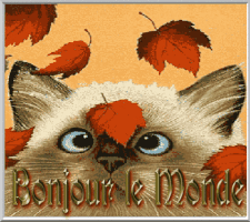 passager-du-temps  GIF