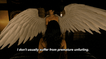 Premature Unfurling GIFs - Get the best GIF on GIPHY