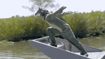 Logan Paul Funny Gif GIF by Watchable