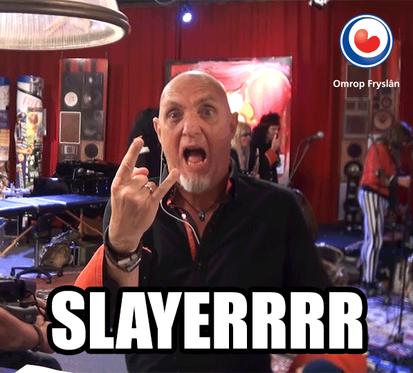 Fries Slayer GIF by Omrop Fryslân