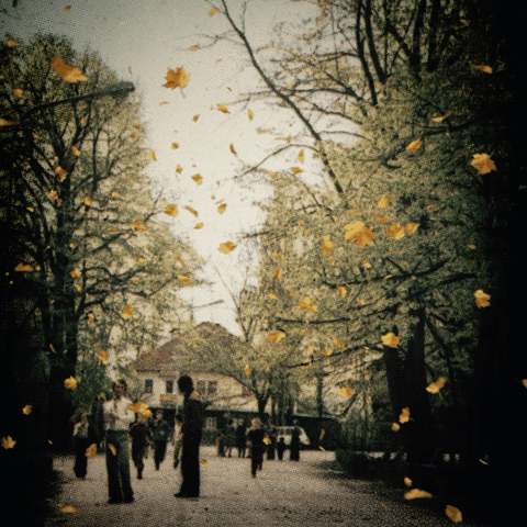 bilmez bih prijedor GIF