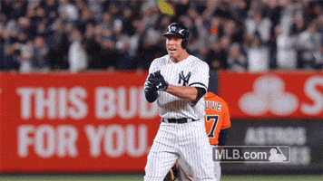 New York Yankees GIF by MLB