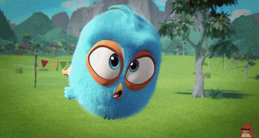 fire win GIF by Angry Birds