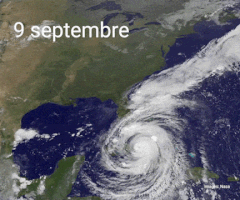ledevoir hurricane irma ouragan GIF