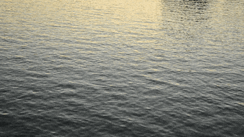 water color GIF by aurel