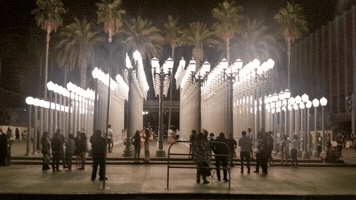 Socialbilitty lacma urban lights socialbilitty GIF